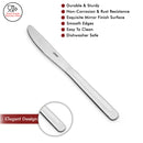 Classic - Stainless Steel Dinner knife