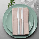 Ziel - Stainless Steel Dinner knife