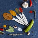 Stainless Steel Measuring Spoon - (Oval) Set of 4