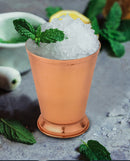 Stainless Steel Julep Cups - Set of 2